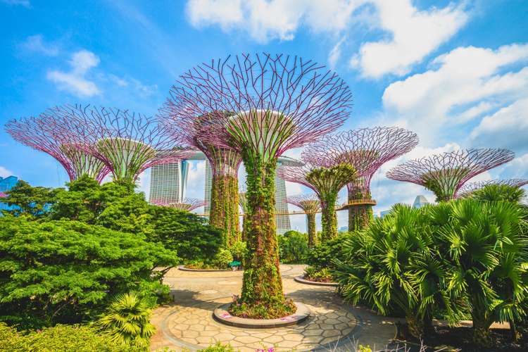Unforgettable experiences in Singapore – Guided tours, day trips, tastings, and authentic local adventures in 2025