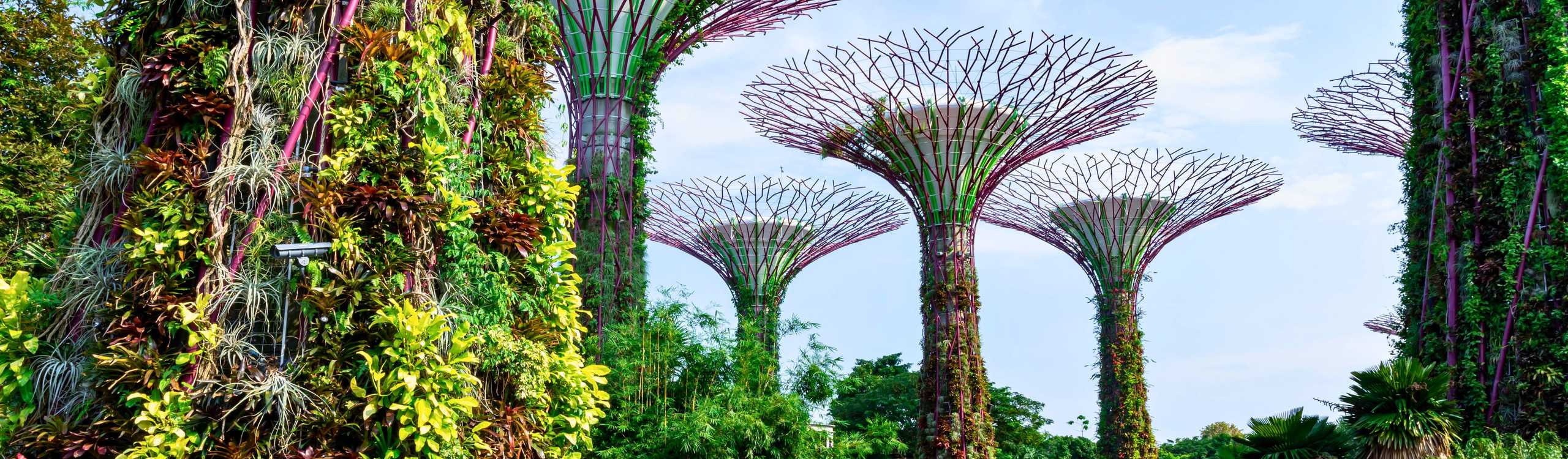 Explore Singapore with a City Pass – Save on top attractions, enjoy all-in-one access, and experience digital convenience in 2026